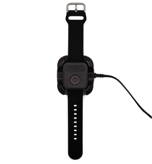 BelleWincradle_1024x1024@2x